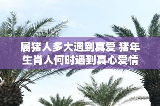 属猪人多大遇到真爱 猪年生肖人何时遇到真心爱情
