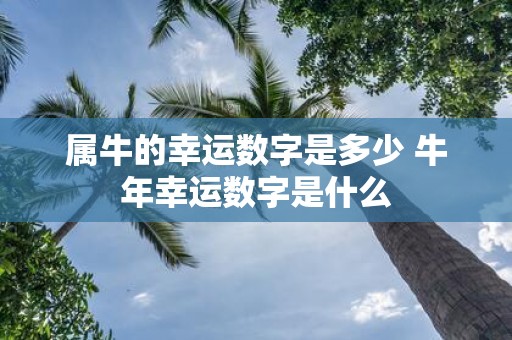 属牛的幸运数字是多少 牛年幸运数字是什么