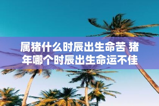 属猪什么时辰出生命苦 猪年哪个时辰出生命运不佳