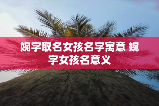 婉字取名女孩名字寓意 婉字女孩名意义