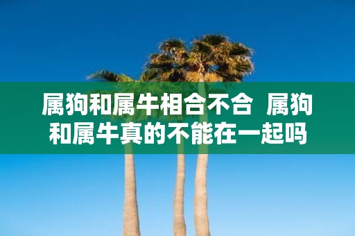 属狗和属牛相合不合 属狗和属牛真的不能在一起吗