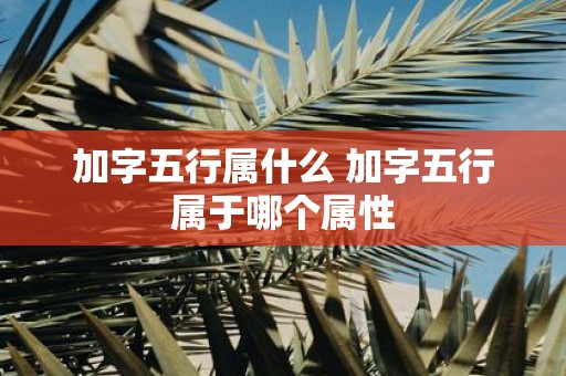 加字五行属什么 加字五行属于哪个属性