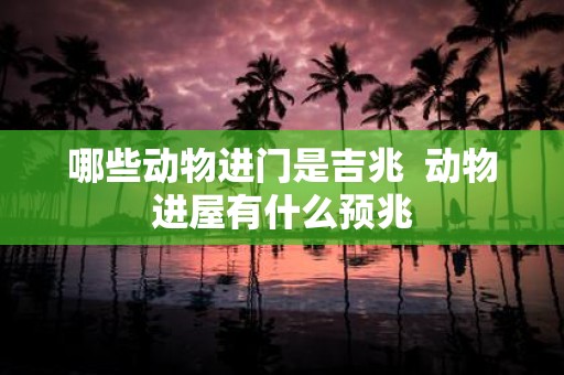 哪些动物进门是吉兆 动物进屋有什么预兆