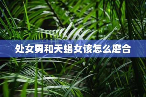 处女男和天蝎女该怎么磨合