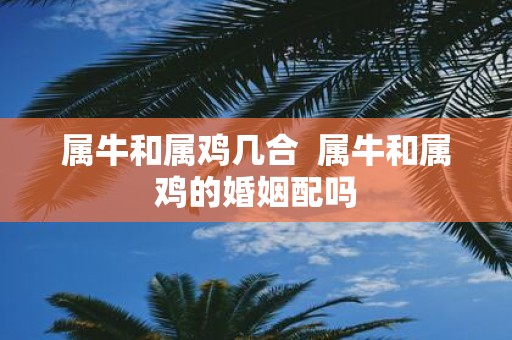 属牛和属鸡几合 属牛和属鸡的婚姻配吗