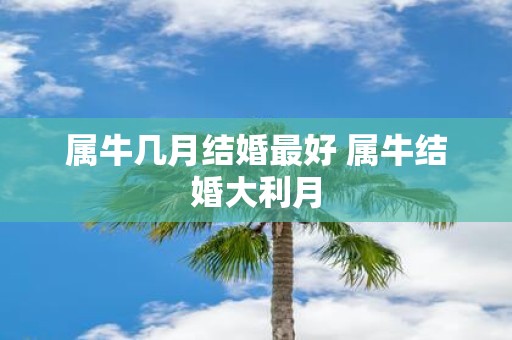 属牛几月结婚最好 属牛结婚大利月