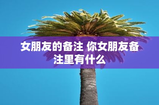 女朋友的备注 你女朋友备注里有什么