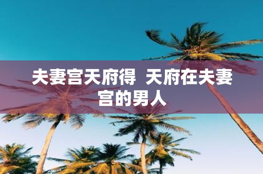 夫妻宫天府得 天府在夫妻宫的男人