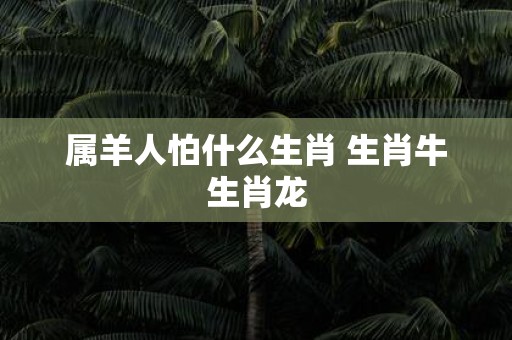 属羊人怕什么生肖 生肖牛生肖龙