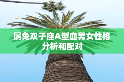 属兔双子座A型血男女性格分析和配对