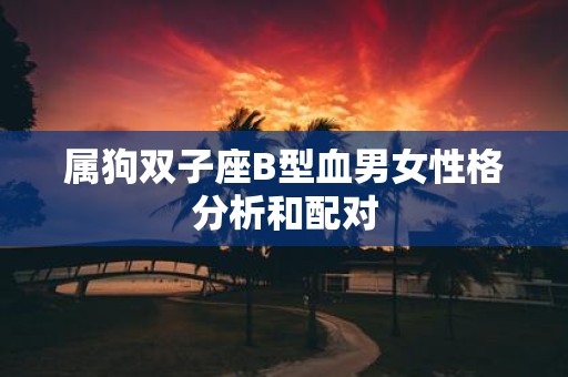 属狗双子座B型血男女性格分析和配对