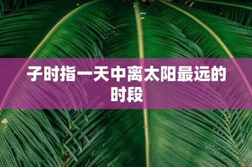 子时指一天中离太阳最远的时段
