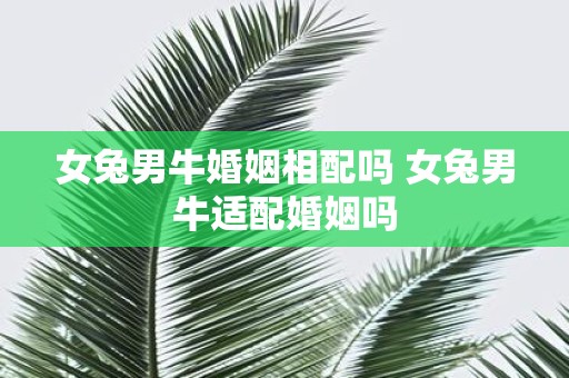 女兔男牛婚姻相配吗 女兔男牛适配婚姻吗