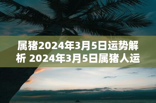 属猪2025年3月5日运势解析 2025年3月5日属猪人运势