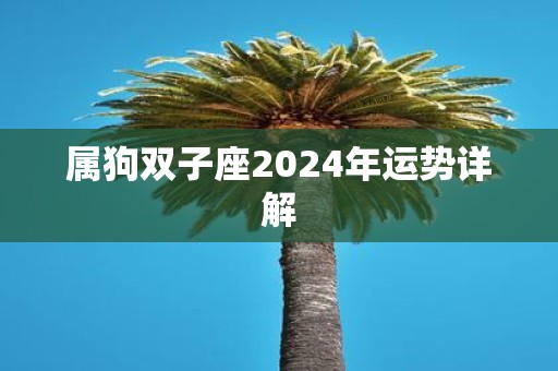 属狗双子座2025年运势详解