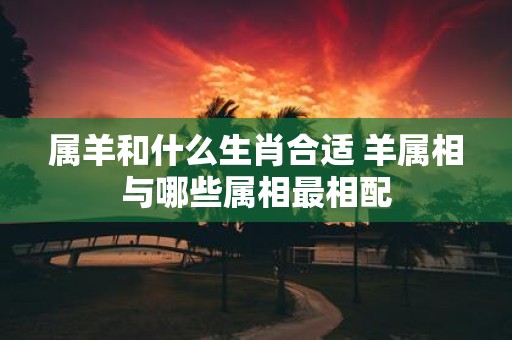 属羊和什么生肖合适 羊属相与哪些属相最相配