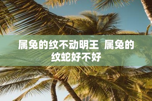属兔的纹不动明王 属兔的纹蛇好不好
