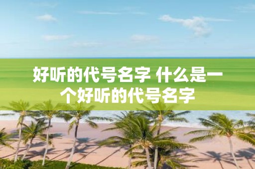 好听的代号名字 什么是一个好听的代号名字