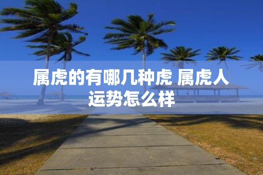 属虎的有哪几种虎 属虎人运势怎么样
