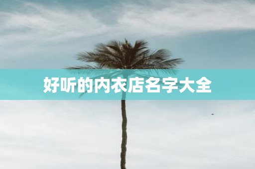 好听的内衣店名字大全