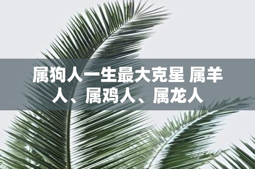 属狗人一生最大克星 属羊人、属鸡人、属龙人