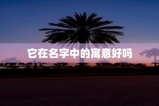 它在名字中的寓意好吗