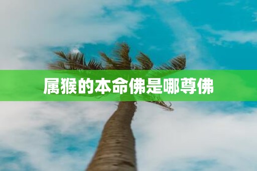 属猴的本命佛是哪尊佛