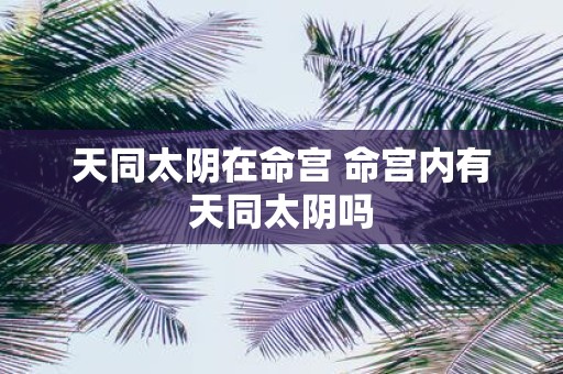 天同太阴在命宫 命宫内有天同太阴吗