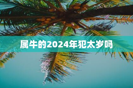属牛的2025年犯太岁吗