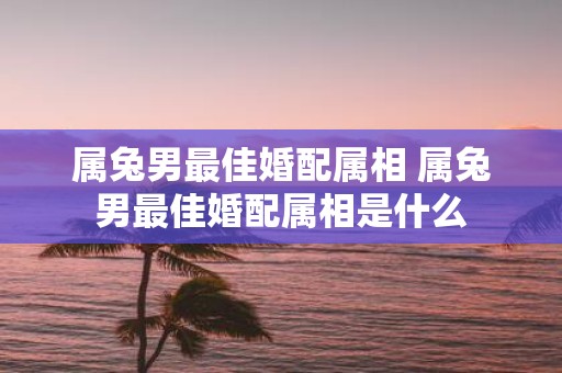 属兔男最佳婚配属相 属兔男最佳婚配属相是什么