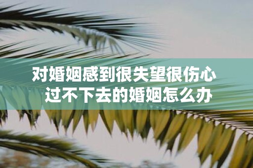 对婚姻感到很失望很伤心 过不下去的婚姻怎么办