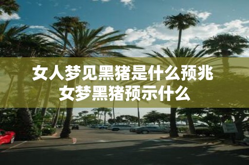 女人梦见黑猪是什么预兆 女梦黑猪预示什么