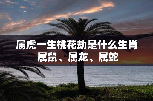 属虎一生桃花劫是什么生肖 属鼠、属龙、属蛇