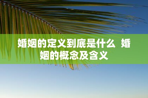 婚姻的定义到底是什么 婚姻的概念及含义