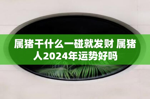 属猪干什么一碰就发财 属猪人2025年运势好吗
