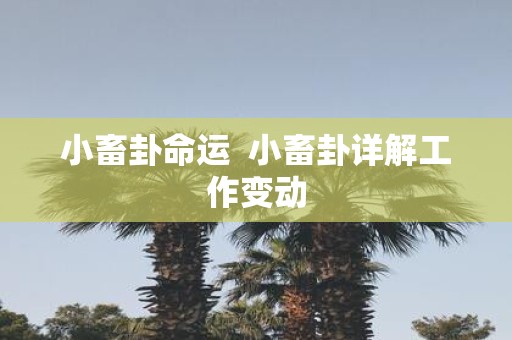 小畜卦命运 小畜卦详解工作变动