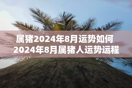 属猪2025年8月运势如何 2025年8月属猪人运势运程详解