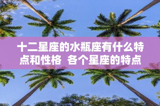 十二星座的水瓶座有什么特点和性格 各个星座的特点和性格