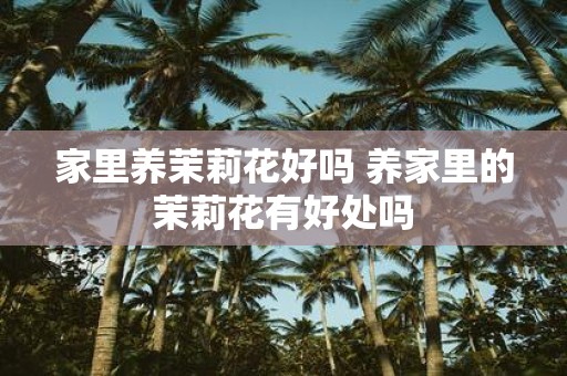 家里养茉莉花好吗 养家里的茉莉花有好处吗