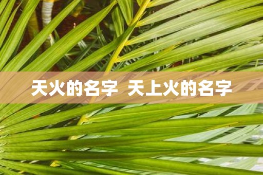 天火的名字 天上火的名字