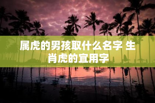 属虎的男孩取什么名字 生肖虎的宜用字