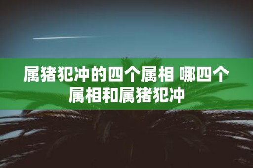 属猪犯冲的四个属相 哪四个属相和属猪犯冲