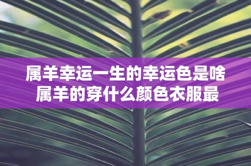 属羊幸运一生的幸运色是啥 属羊的穿什么颜色衣服最旺运