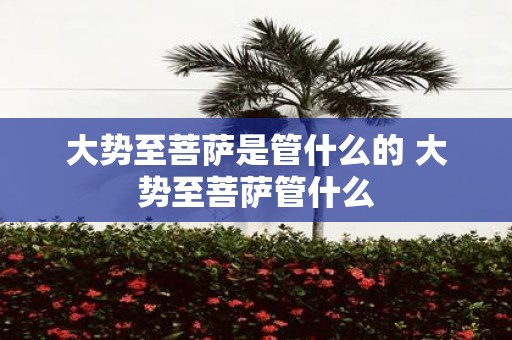 大势至菩萨是管什么的 大势至菩萨管什么