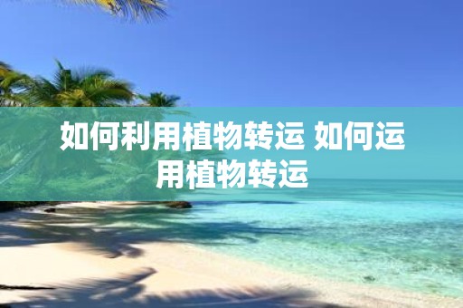 如何利用植物转运 如何运用植物转运