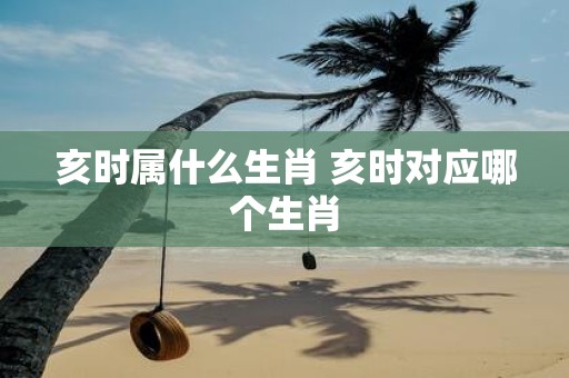亥时属什么生肖 亥时对应哪个生肖