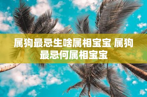 属狗最忌生啥属相宝宝 属狗最忌何属相宝宝
