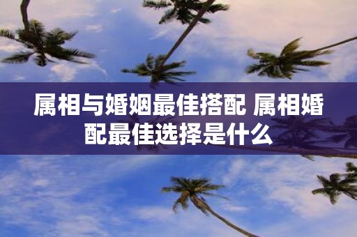 属相与婚姻最佳搭配 属相婚配最佳选择是什么