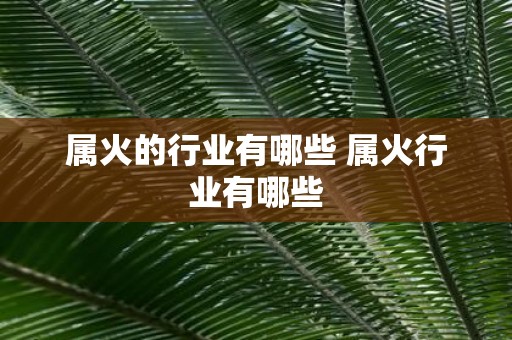 属火的行业有哪些 属火行业有哪些