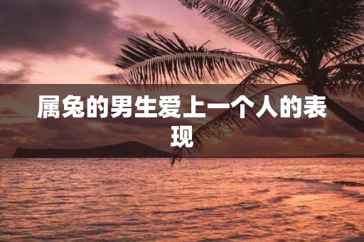 属兔的男生爱上一个人的表现